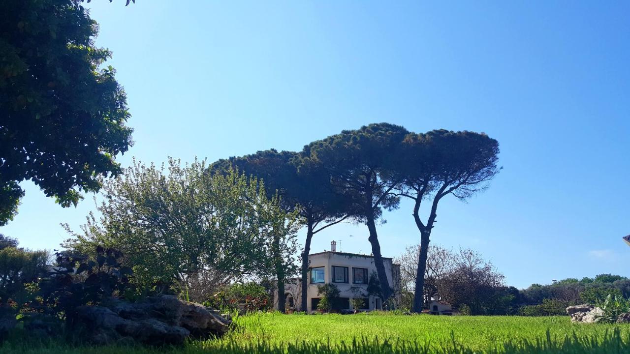 Tenuta Donnanna Agriturismo&Glamping Galatone Εξωτερικό φωτογραφία